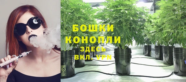 бошки Иннополис