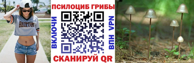 Псилоцибиновые грибы MAGIC MUSHROOMS Кадников