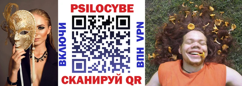 Купить где  Кадников  Галлюциногенные грибы Magic Shrooms 